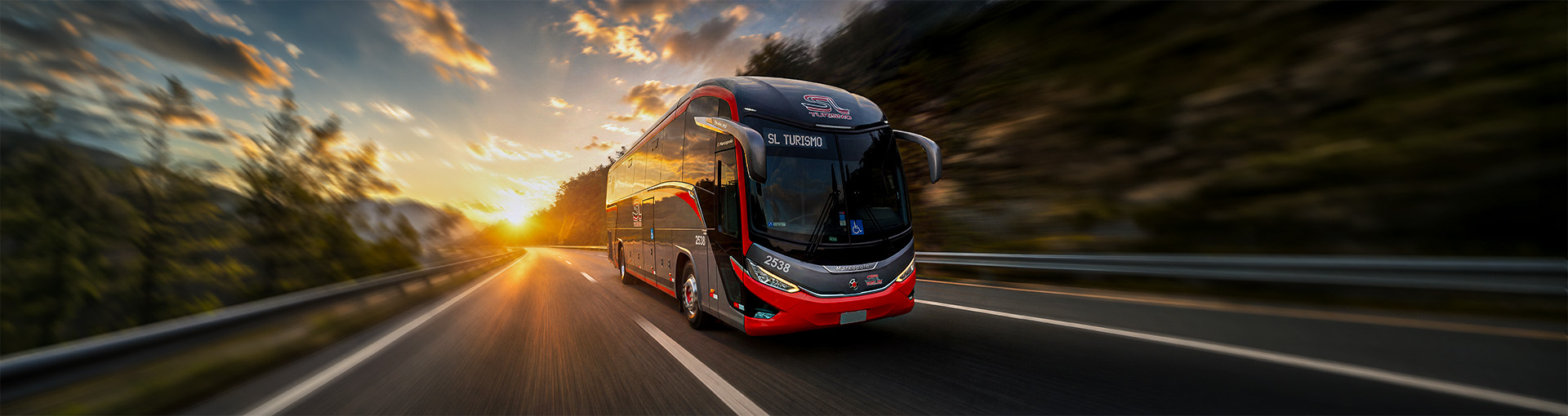 Aluguel de Ônibus e Van com Motorista em São Paulo